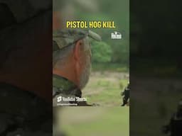 Boar hog DROPPED from pistol using GameChanger ammunition!