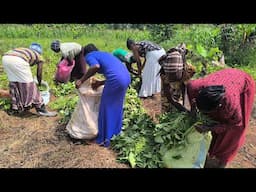 Village life in Uganda// home garden