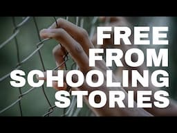 Real Stories of Self Education Success I Homeschooling Beyond the Box