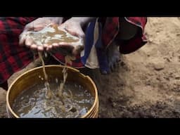 Freshwater World: A Ripple of Change