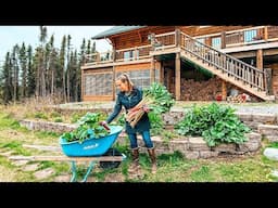 Trying New Things! + Our Alaskan Wood Shed Build Continues...