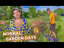 What is happening in our garden? | Life on a small farm in Central Europe