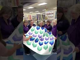 Learn how to quilt on the bernina hoop frame! Quilt classes in Utah ￼