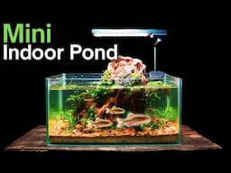 I Turned a Broken Aquarium Into a Thriving Underwater Ecosystem!