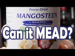Freeze Dried Mangosteens - Can We Make a MEAD from this?