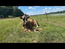 If Farming Was Easy Everyone Would Do It