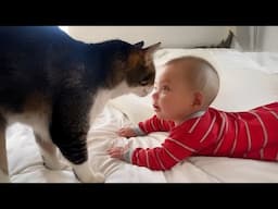 When Kids Are RAISED by the LOVE of a Cat