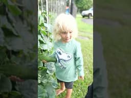 Vertical Gardening With Kids | Tower to Table #hydroponicgarden #towergarden #towergardening