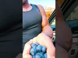 EATING BLUEBERRIES