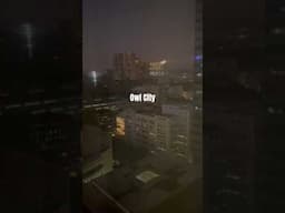 Owl City #midnight #awake #citylife #citytour #owlcity #ytshorts #yt #cityvlog #cityview #ytshots