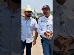 Más PICOSOS 🌶️ 3 #elcampoesfuturo #elcamponopara