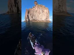 Paddleboarding 1 Mile to Volcanic Island with Giant Purple Bear #shorts #wild #lore
