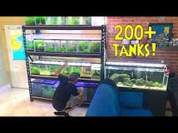 RARE Shrimp *MASTER BREEDER* Shares His Tips - Full House Tour!