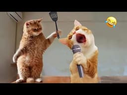 You Laugh You Lose😋😻New Funniest Dogs and Cats 2025😹🐕 #2