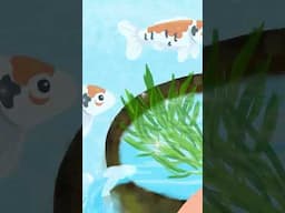 Cá rô phi làm sạch ao hồ