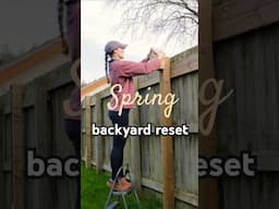Is it spring yet?!🌸#backyard #birding