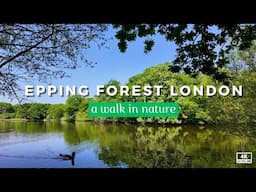 What Happens When You Take a FOREST Bath?
