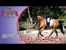 Lia & Alfi - Alfi is back - Dressurreiter A in Lienen