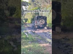 MENENGAI FOREST IS A HIDDEN GEM