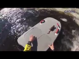 Paddle boarder rescues squirrel left stranded on rock