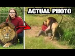 Animal Attacking Humans To Death