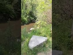 Summer Days