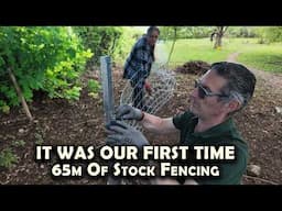 We've Never Done This Before: 65m Stock Fencing Using Clipex Eco Fence Posts At Our Irish Farmhouse