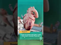 Can a Blood Test Spot a Heart Attack?!