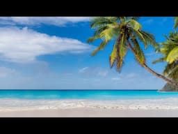 Calming Ocean Waves & Soft Bossa Nova Jazz Music at Beach Ambience for Working