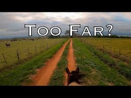 10km TRAIL RIDE On The WILD HORSE | Taming a Wild Horse  [EP 28]