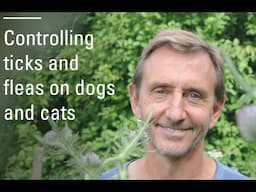 How to control ticks and fleas on dogs and cats - sustainably.