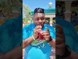 Epic Universe TASTY DRINK 🍹Universal Orlando Bar Zenith Celestial Park review 2025
