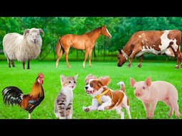 Farm Animal Characteristics - Rabbits, Buffaloes, Sheep, Cows, Goats, Pigs - Animal Sounds