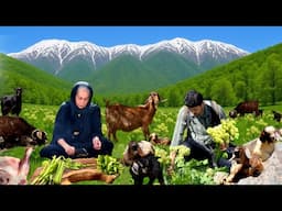 Cooking Spring RHUBARB | Spring Food In Nature of the Mountain Village