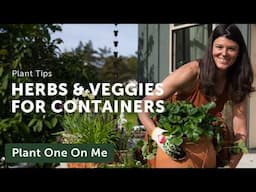 HERBS & VEGGIES for CONTAINERS — Ep. 416
