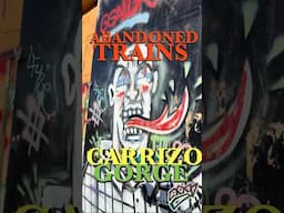 Abandoned Trains of Carrizo Gorge, Jacumba, CA! California the Parts Unknown! Much Love! TVMS
