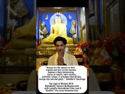 THE LIGHT OF WISDOM 2018 |MAHABODHI TEMPLE BODHGAYA INDIA | LUANG PU SOUVANKHAM & HIMANSHU SONI