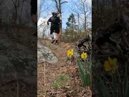 Exploring the Bulls Gap to Porters Gap Trail: A Hidden Gem