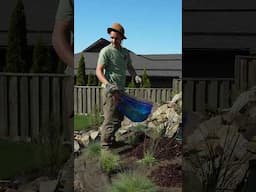 Our backyard makeover part 3!