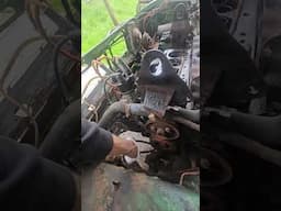 Is it the alternator?  The question lots of you asked! #automobile  #mechanic