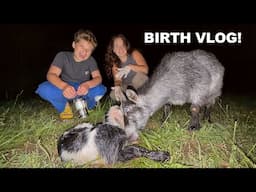 Missy and Ollie Deliver A Baby Goat on the Daily Bumps Homestead!