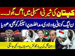 Zartaj Gul Lonely Fought With PMLN | Remarkable Speech At National Assembly