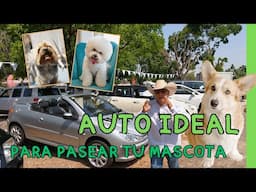 UN AUTO pet friendly ❤️