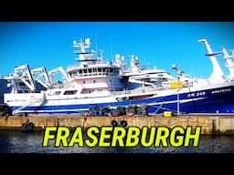 Fraserburgh Harbour. What's Happening Today 3rd April 2025