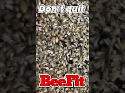 Your enough-ness is not based on your actions or your achievements.. #beekeeping #alanwatts #fyp