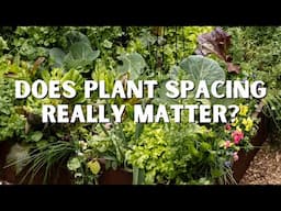 Learn My Plant Spacing Calculator Method