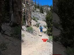 Las Vegas has the best TRAILS  for RUNNING! Mt Charleston, Nevada #explore #trailrunning #running