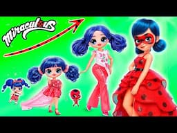 Miraculous Ladybug Growing Up! LOL OMG DIYs