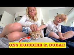 We hebben een NIEUW HUISDIER in DUBAI! 🐱 | Bellinga Vlog #3356