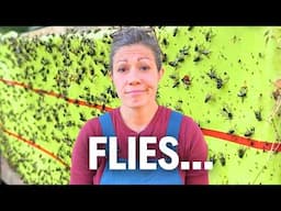 Worst Fly Season EVER! 😩 | A Farm Expert Reveals His Secrets ✅